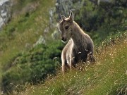 62 Anche il piccolo mi osserva